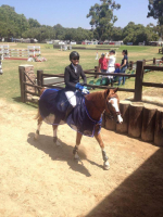 cupilor yjc 7 8 champion l2014